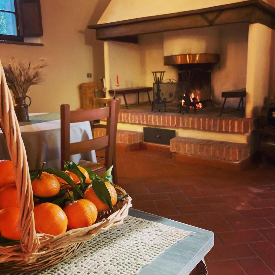 Podere La Chiusella B&B Rapolano Terme Εξωτερικό φωτογραφία