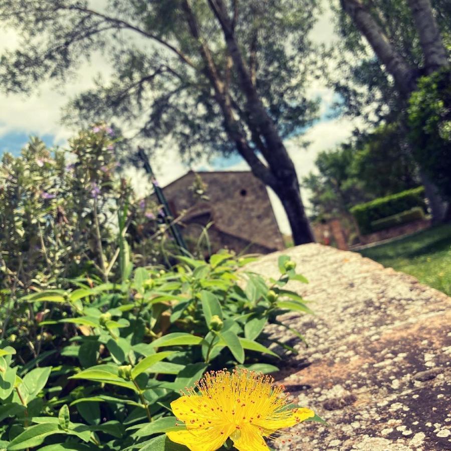Podere La Chiusella B&B Rapolano Terme Εξωτερικό φωτογραφία